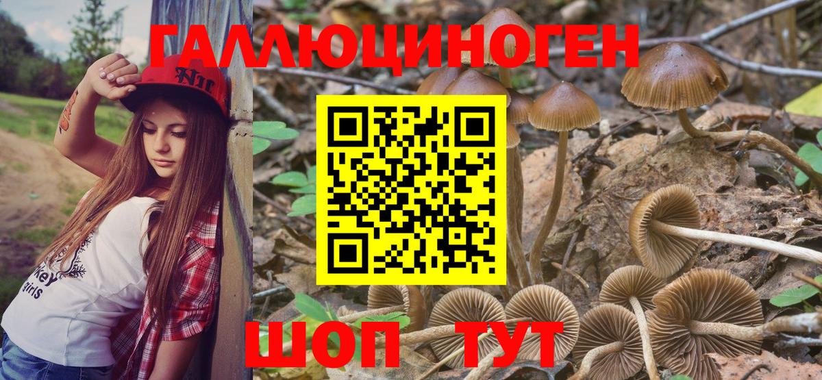 Псилоцибиновые грибы ЛСД Усинск